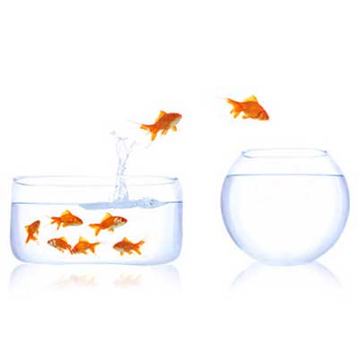 Centralised Control image